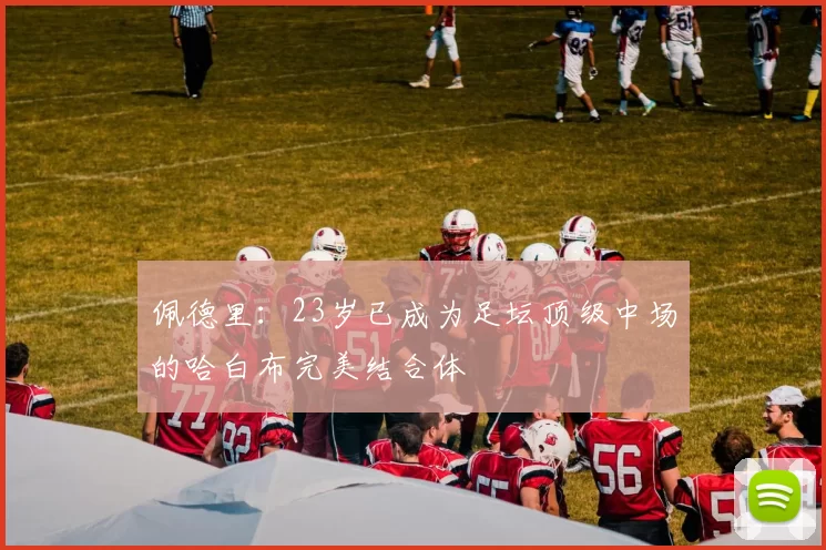 佩德里：23岁已成为足坛顶级中场的哈白布完美结合体